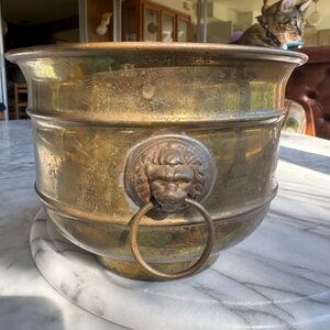 Brass lion head cachepot planter